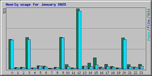 Hourly usage for January 2025