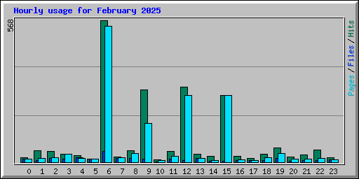 Hourly usage for February 2025