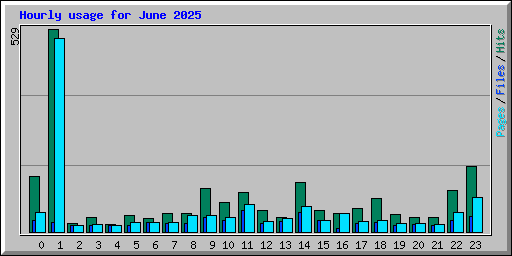 Hourly usage for June 2025