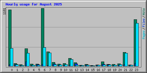 Hourly usage for August 2025
