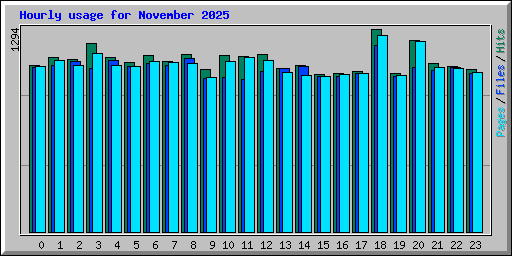 Hourly usage for November 2025