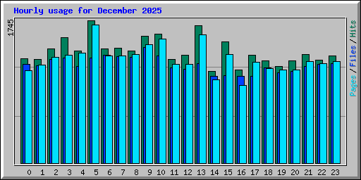 Hourly usage for December 2025